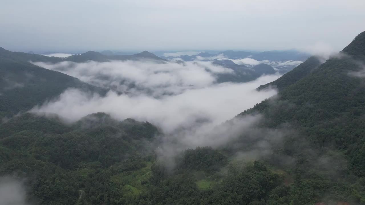 山区雨后升腾的云雾视频素材