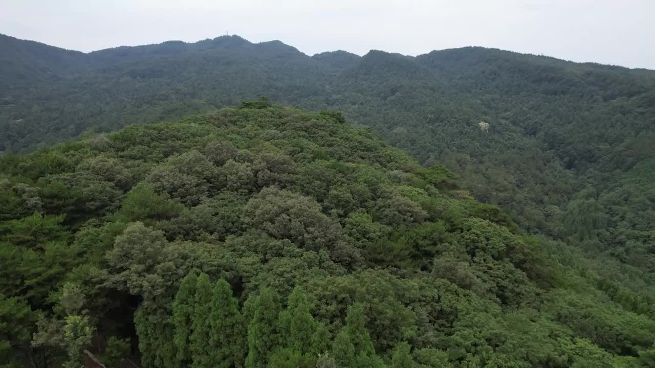 四川天曌山国家森林公园主建筑梵天寺视频素材