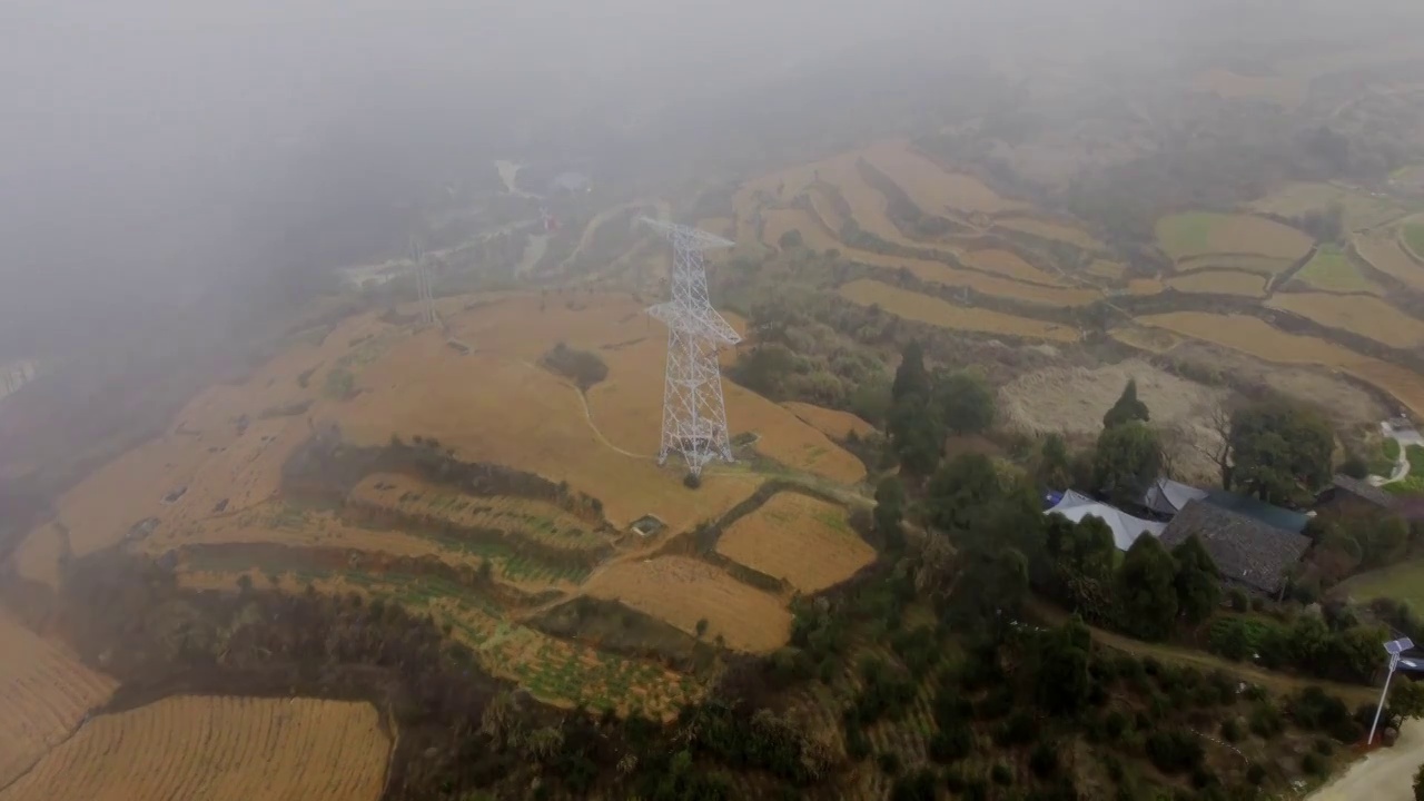 福州鼓岭黄色田野航拍穿越大雾见白色高压电线传输嗒视频素材