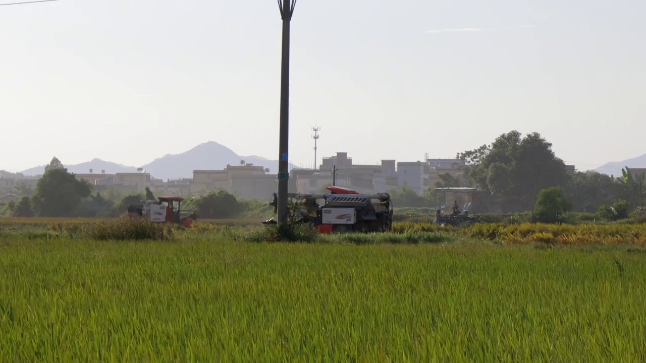 水稻收割农业现代化视频素材