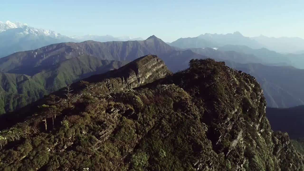 四川甘孜州泸定华尖山遥望贡嘎雪山杜鹃花云海航拍视频素材