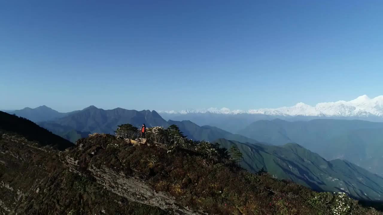 四川甘孜州泸定华尖山遥望贡嘎雪山杜鹃花云海航拍视频素材