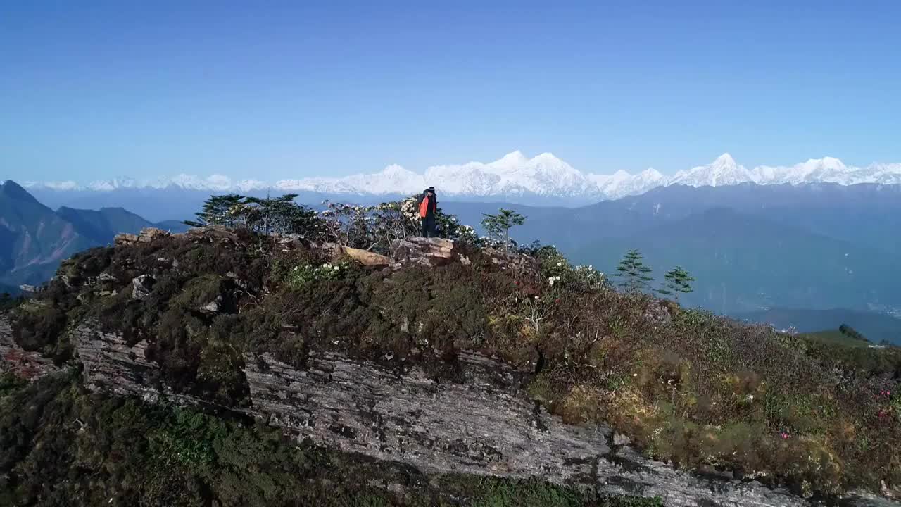 四川甘孜州泸定华尖山遥望贡嘎雪山杜鹃花云海航拍视频素材