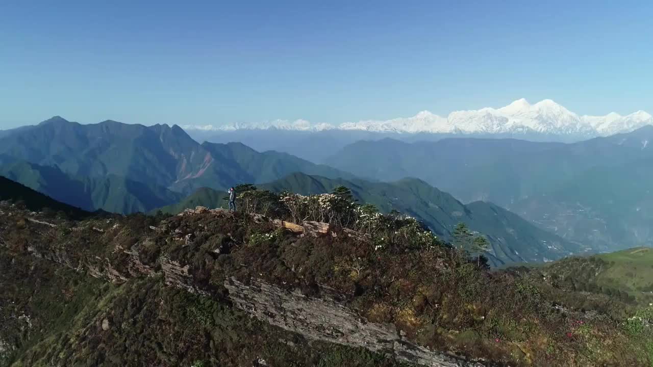 四川甘孜州泸定华尖山遥望贡嘎雪山杜鹃花云海航拍视频素材