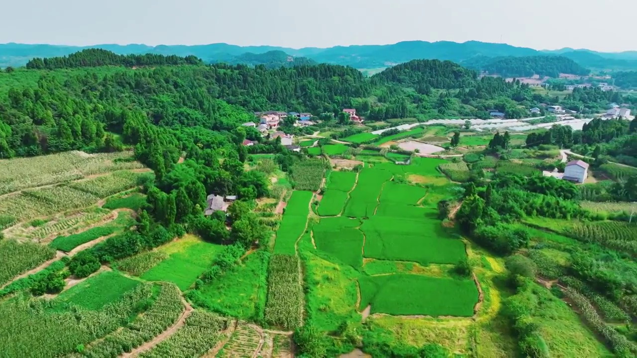 航拍川中丘陵现代农业基地视频素材