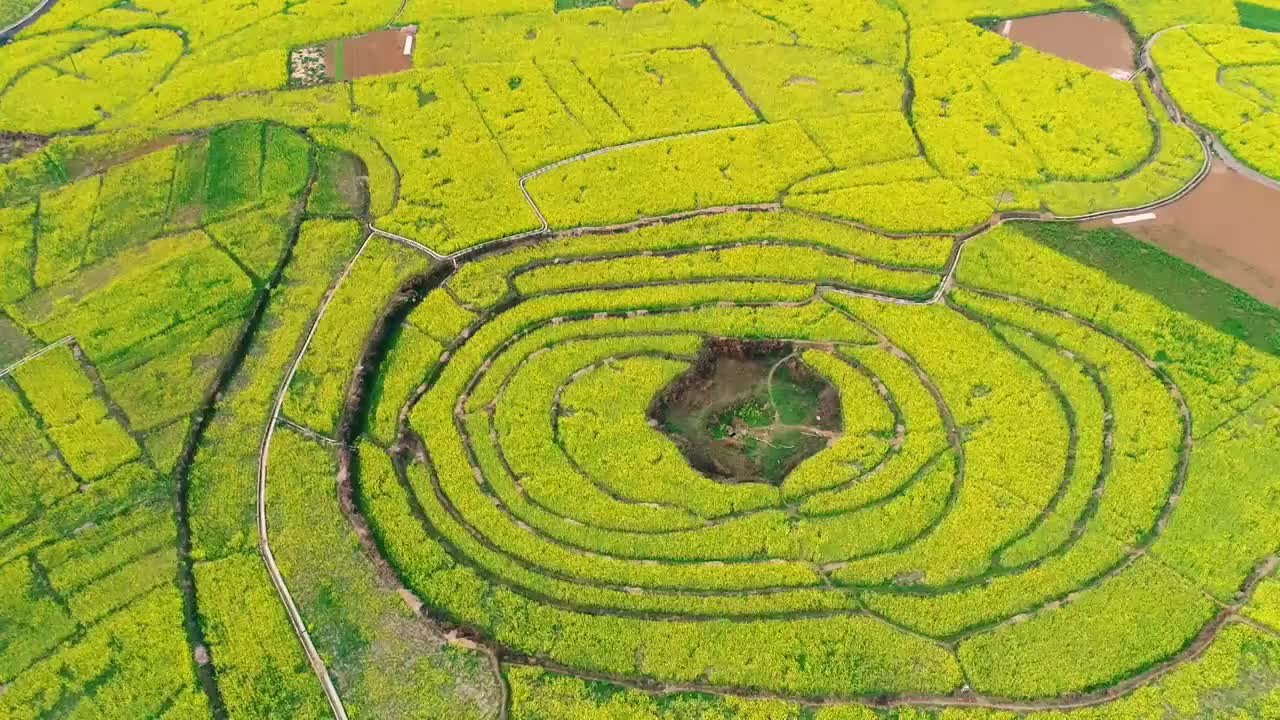 贵州兴义县万峰林景区油菜花田航拍视频素材