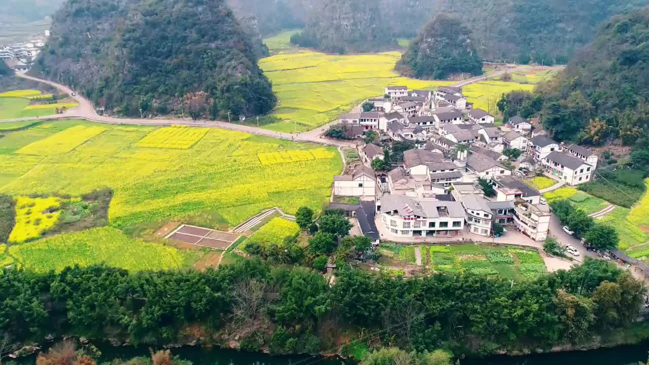 贵州兴义县万峰林景区油菜花田航拍视频素材