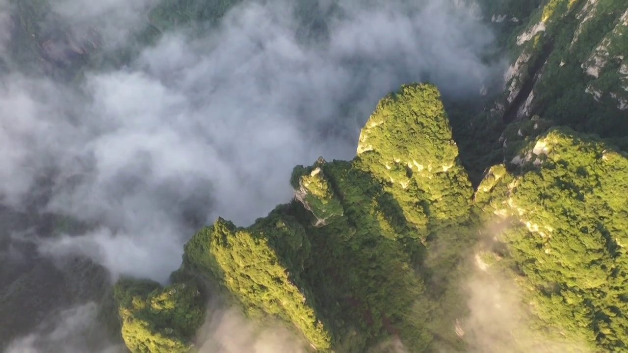 山西省晋城陵川县太行山王莽岭景区锡崖沟夏季云海户外航拍视频素材