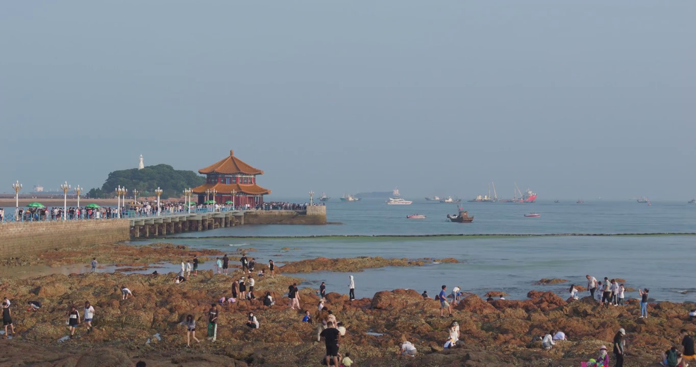 夏日青岛栈桥附近沿海风光旅游视频素材