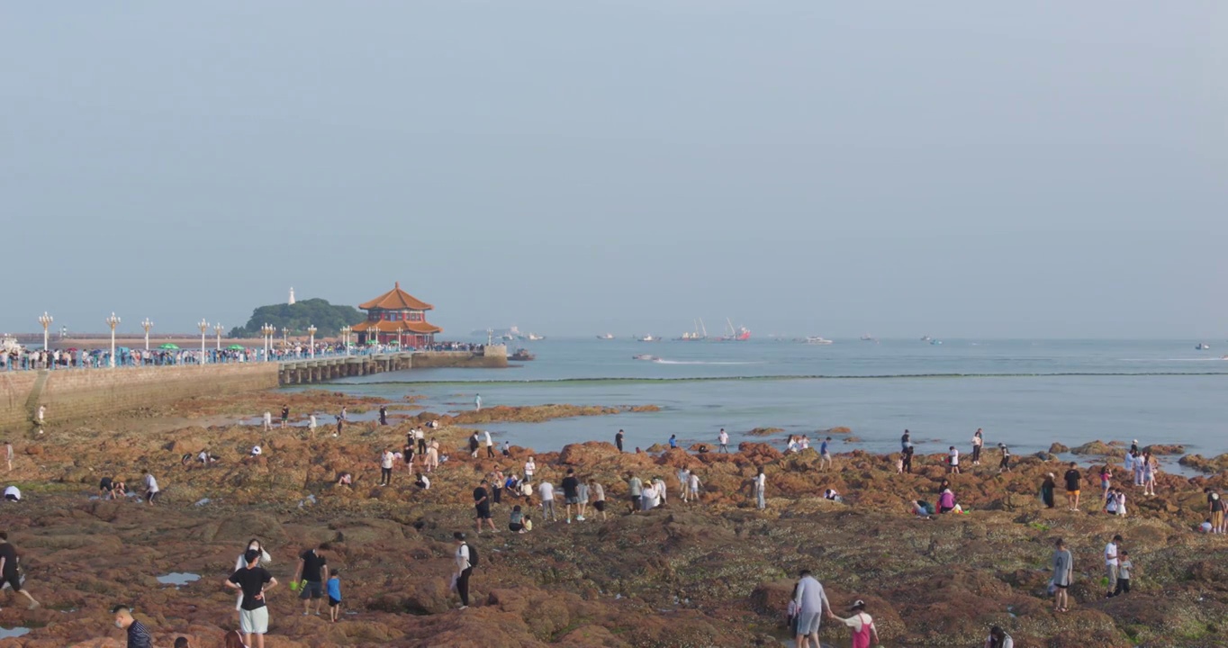 夏日青岛栈桥附近沿海风光旅游视频素材