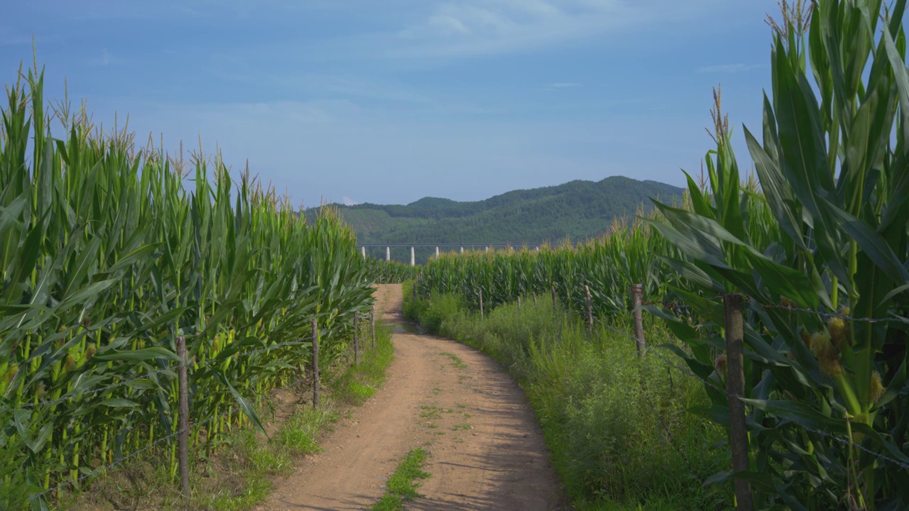 农业田园风景视频素材