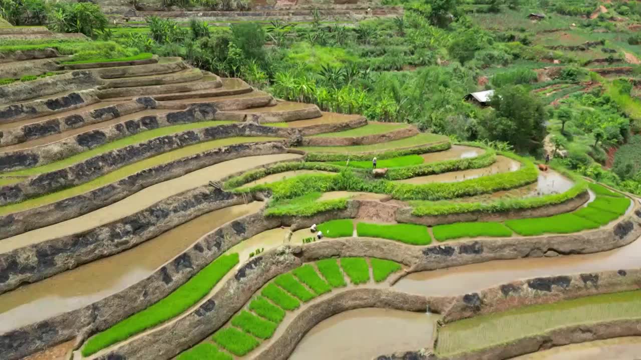 云南省红河州石屏县梯田风光视频素材