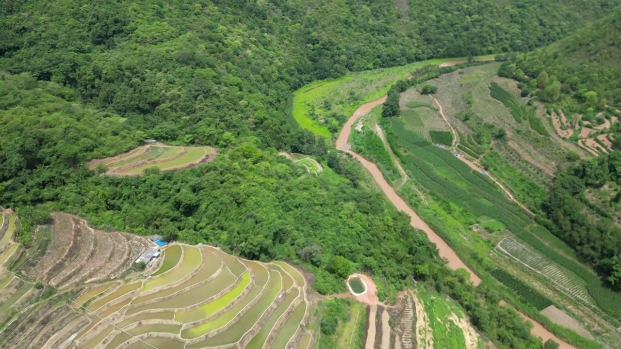 云南省红河州石屏县梯田风光视频素材