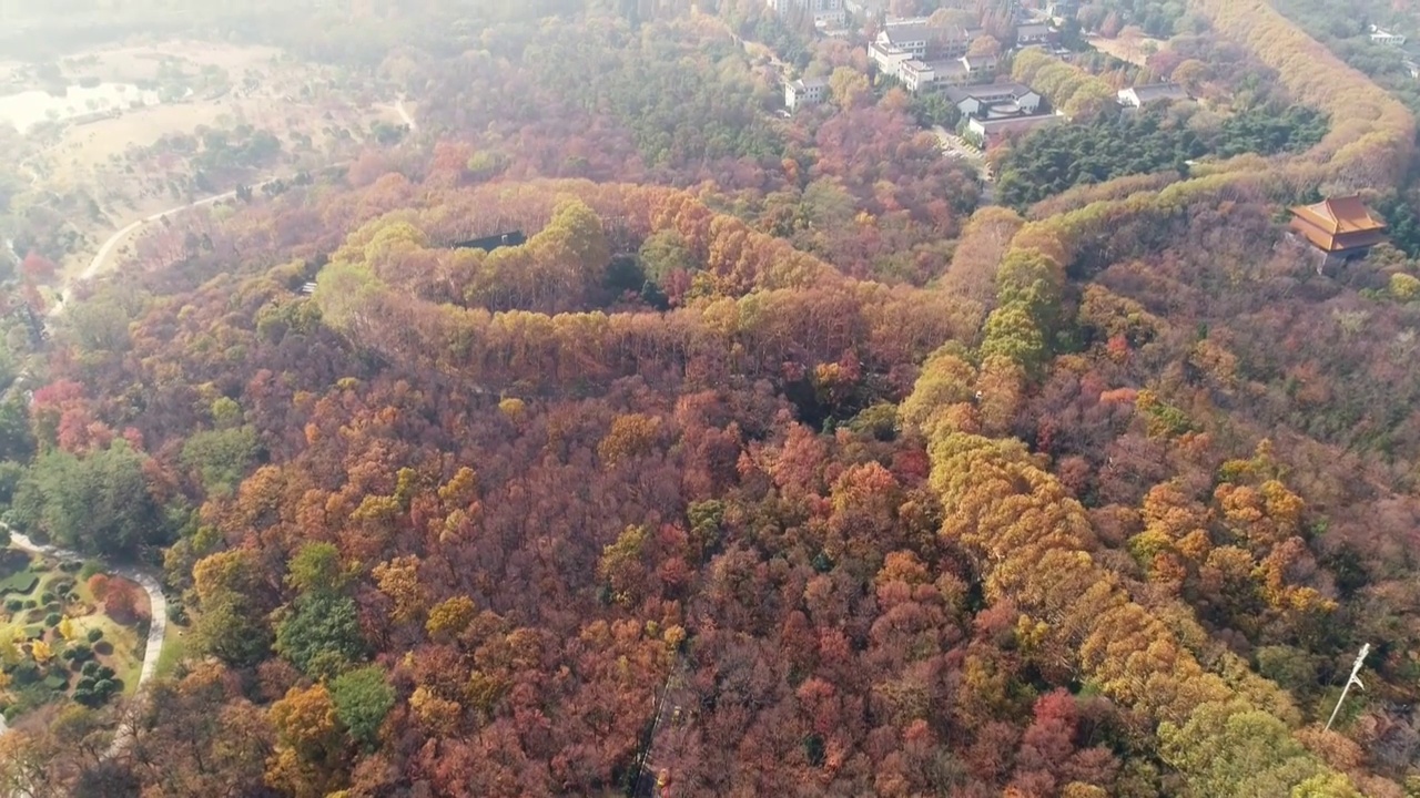 航拍南京明孝陵景区美龄宫秋色视频素材