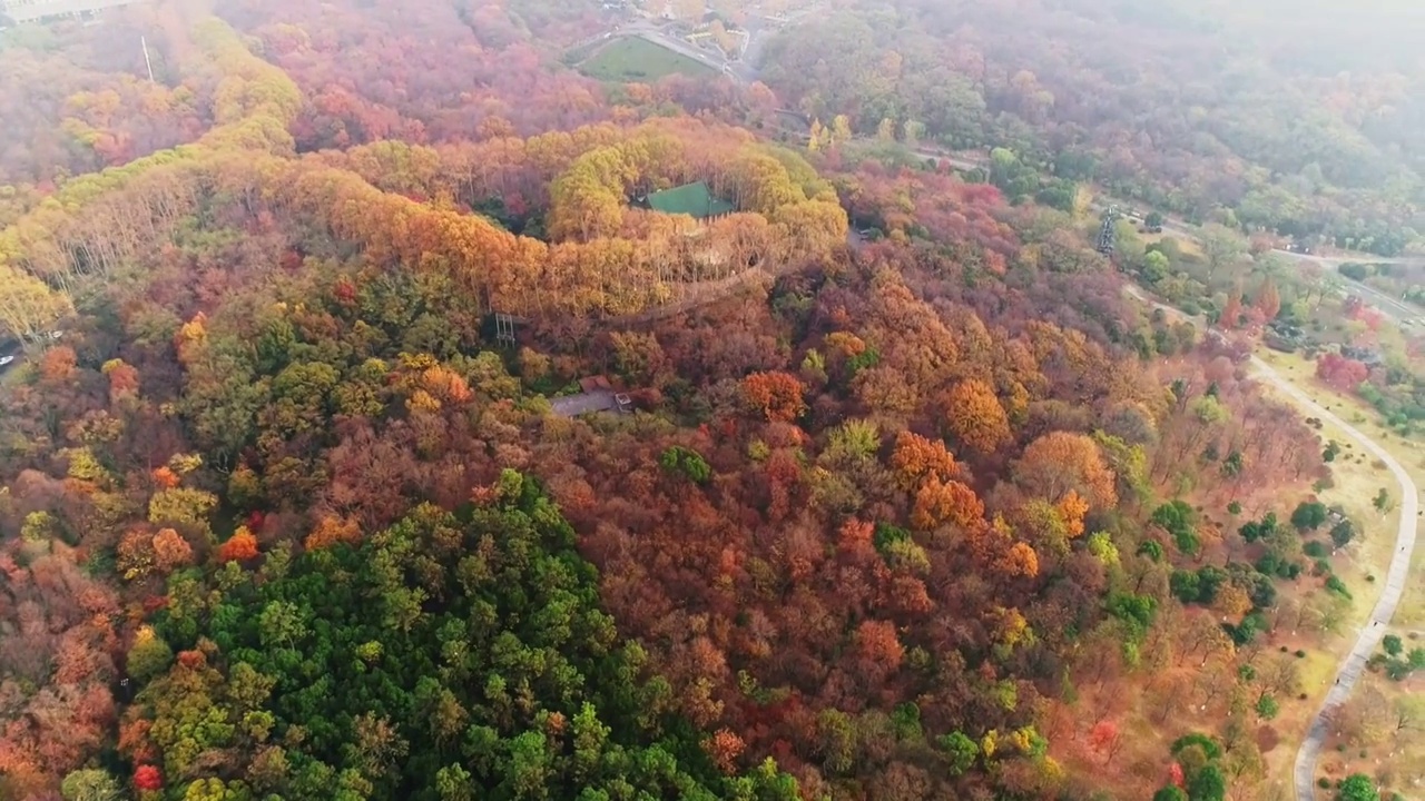 航拍南京明孝陵景区美龄宫秋色视频素材