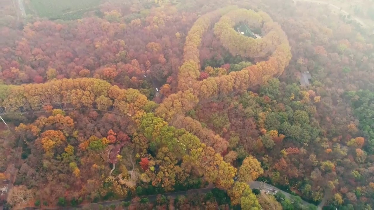 航拍南京明孝陵景区美龄宫秋色视频素材