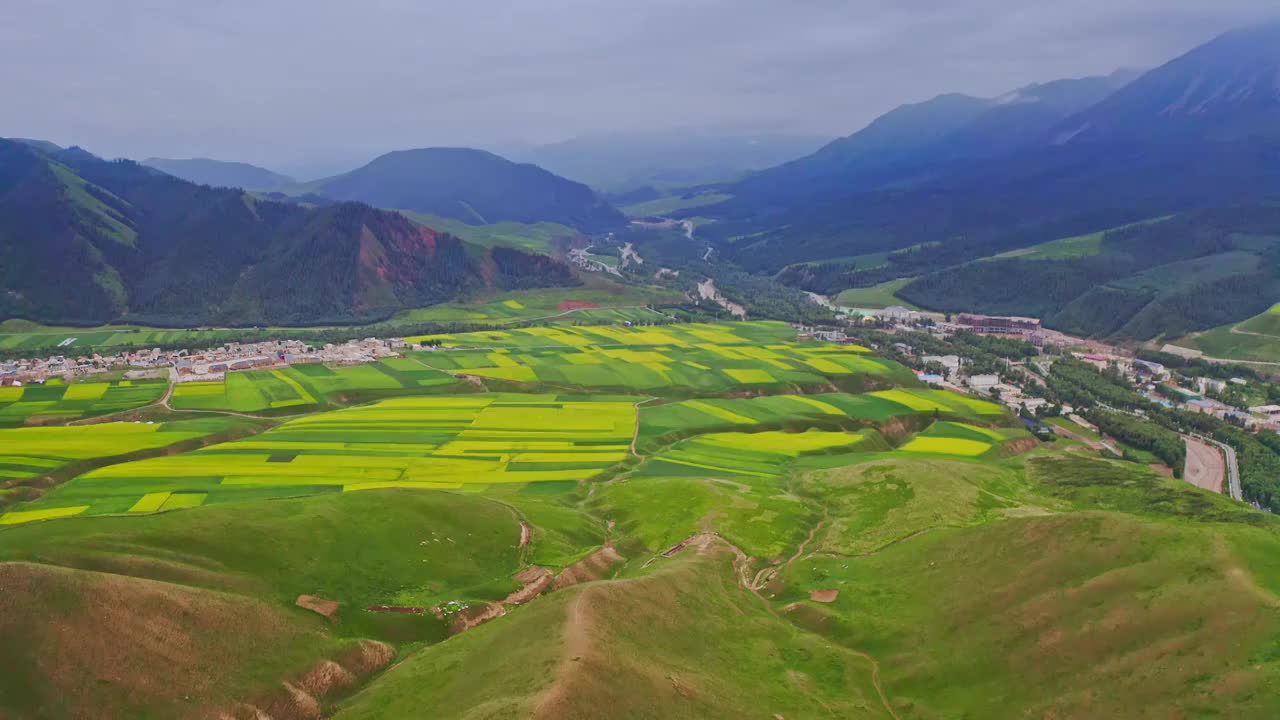 祁连卓尔山，祁连卓尔山景区的航拍，夏天的田园风光视频素材