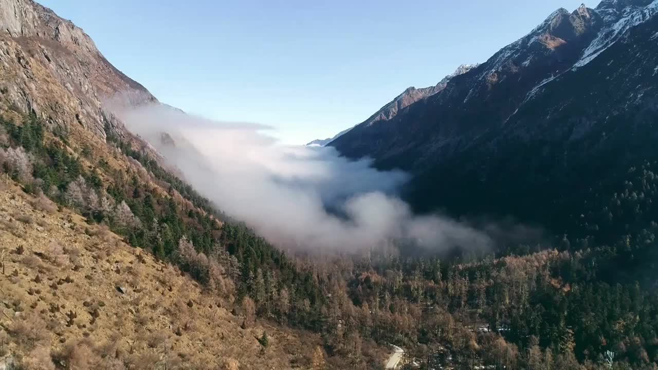 四川阿坝州毕棚沟风景区雪山云海航拍视频素材