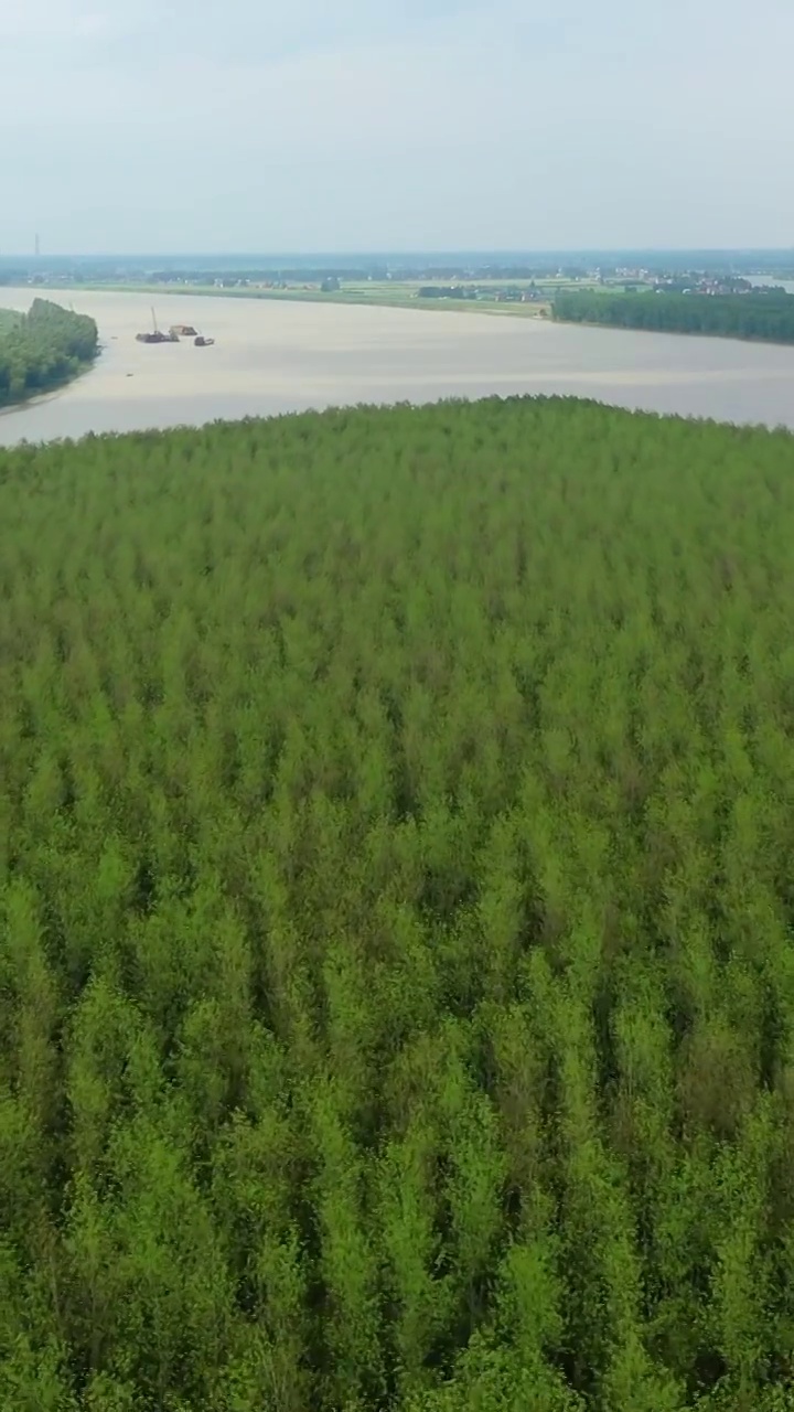 航拍湖南沅江南洞庭湖景观视频素材