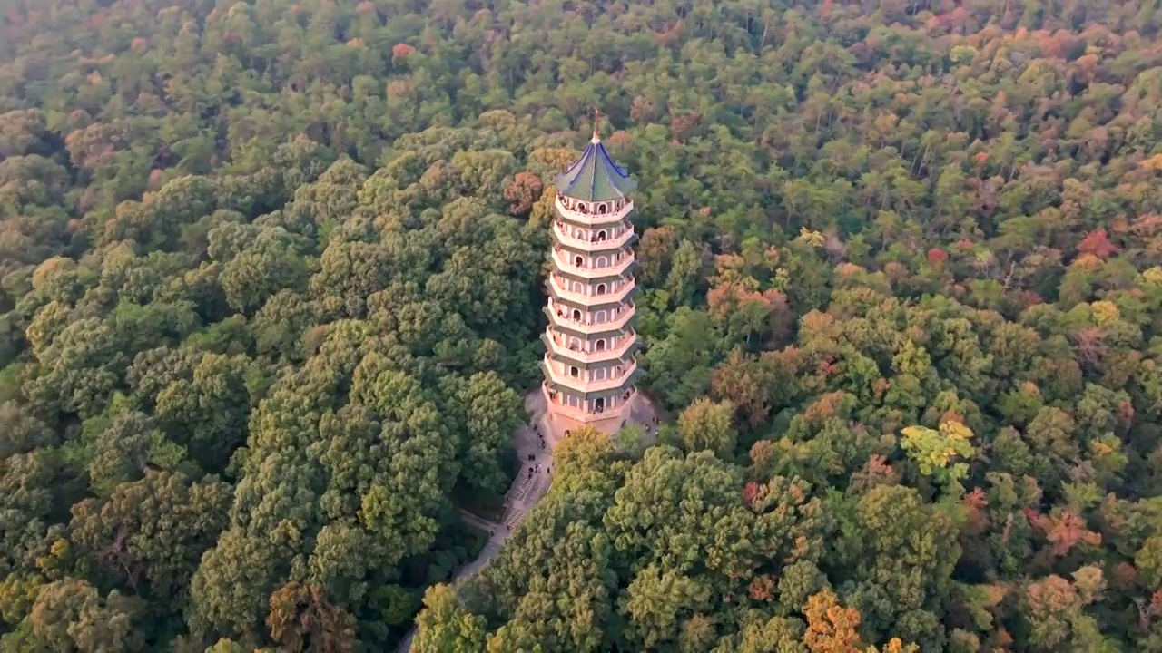 航拍秋天的中山陵-灵谷塔视频素材