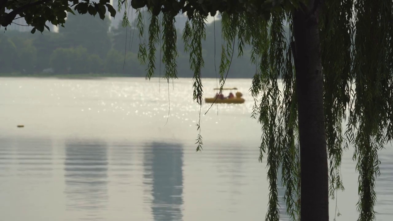 夏日里的绿色清凉视频素材