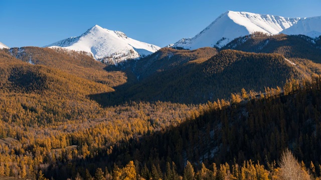 白巴哈雪山森林光影视频素材