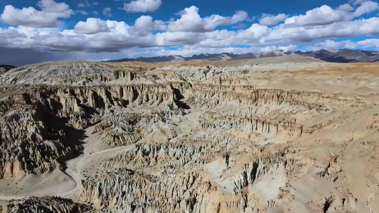 西藏阿里地区扎达县扎达土林霞义沟视频素材