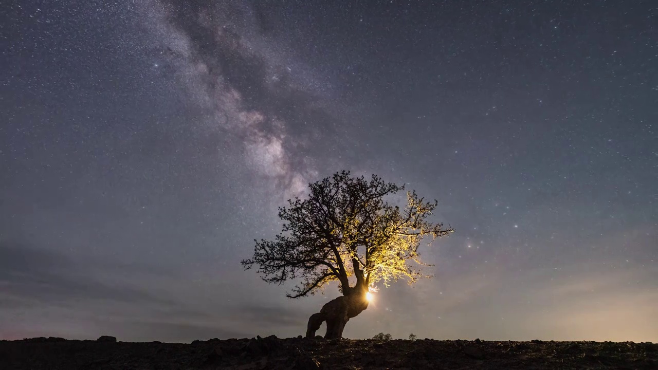 草原树木星空延时视频素材