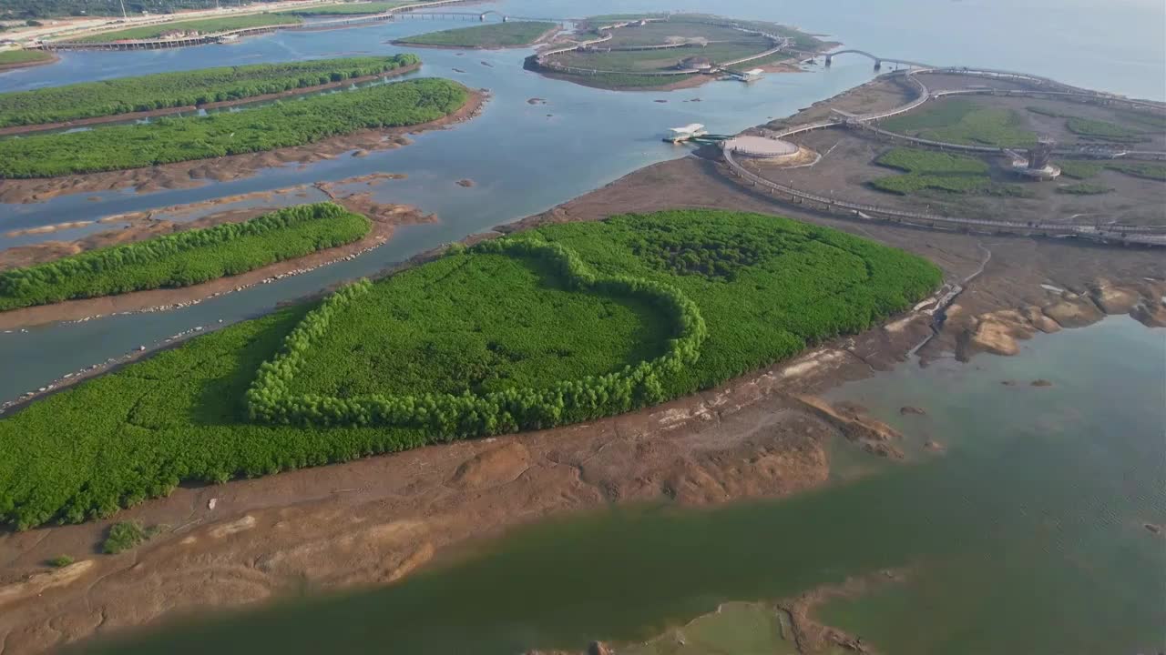 航拍厦门下潭尾湿地公园景观视频素材