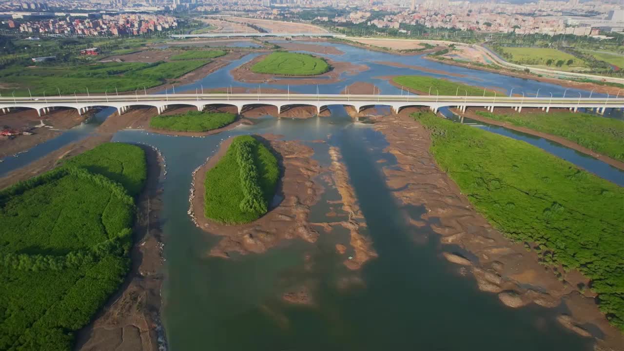 航拍厦门下潭尾湿地公园景观视频素材