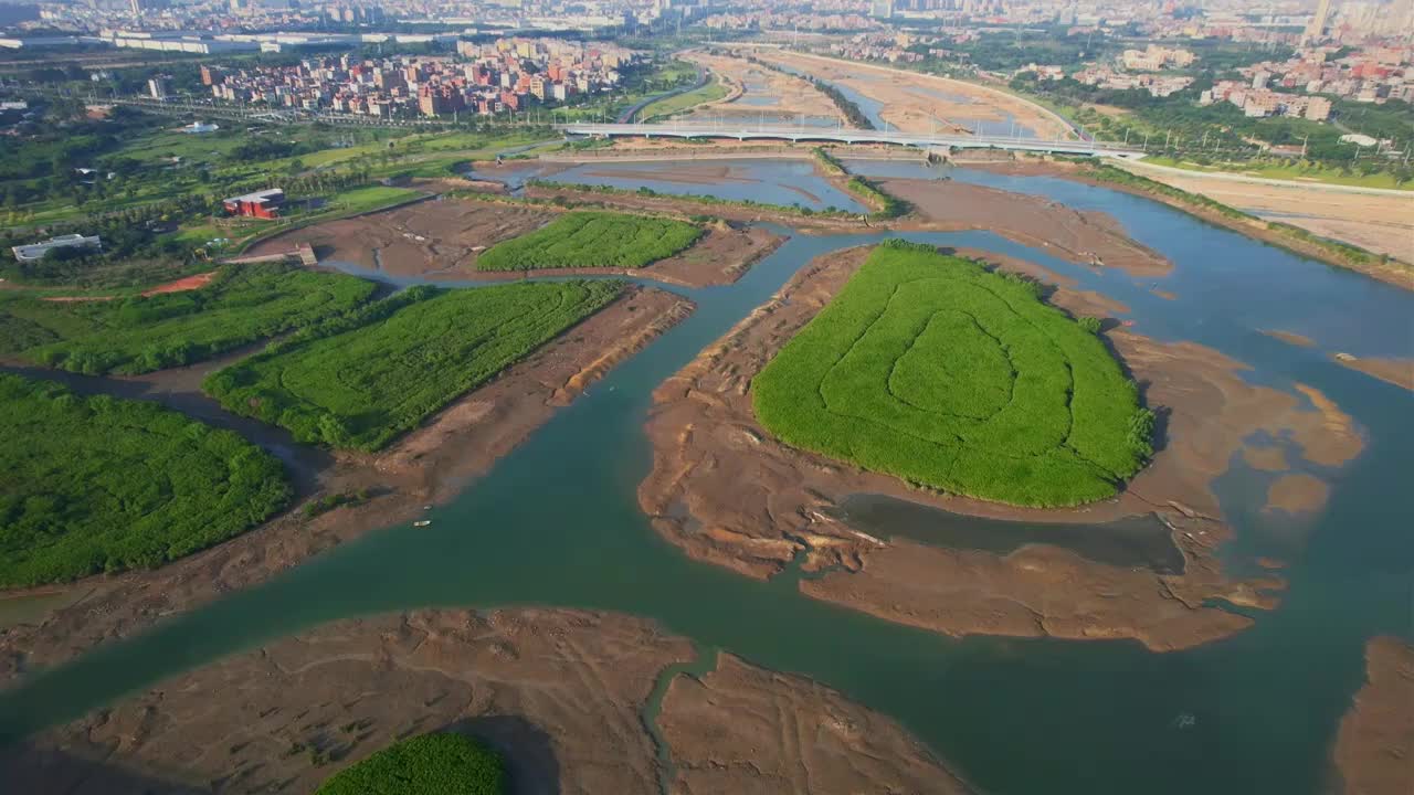 航拍厦门下潭尾湿地公园景观视频素材