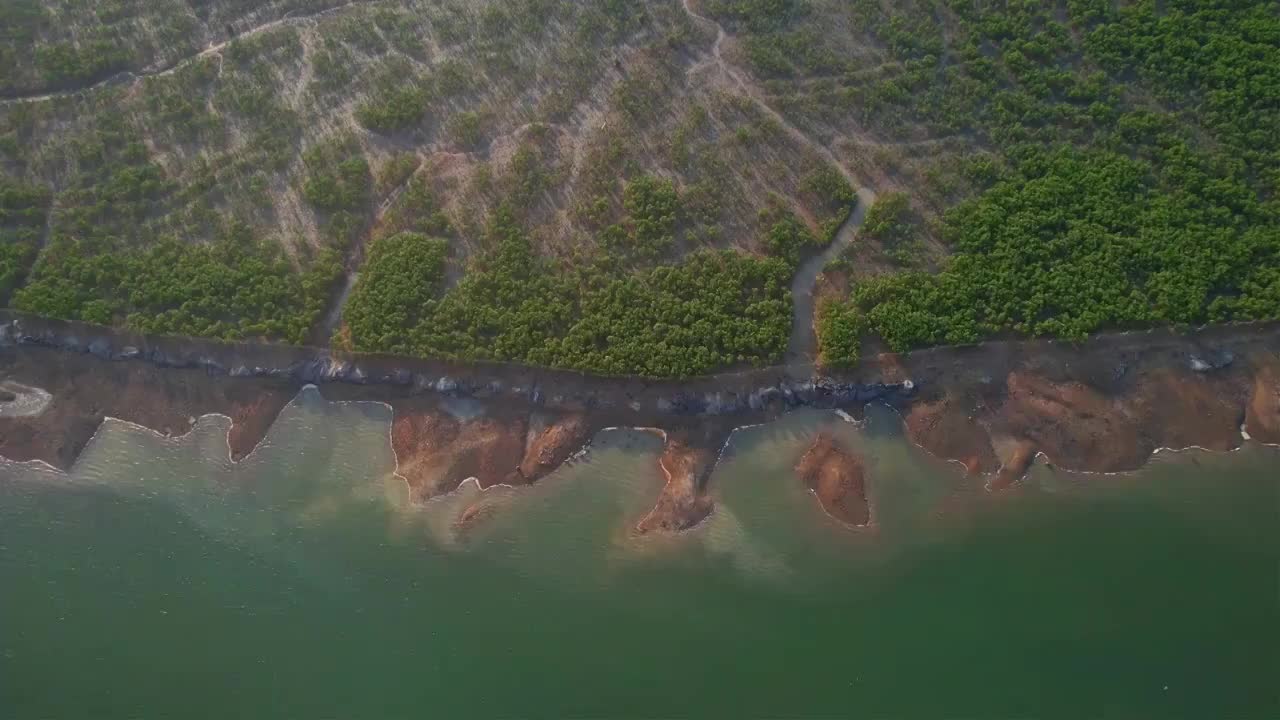 航拍厦门下潭尾湿地公园景观视频素材