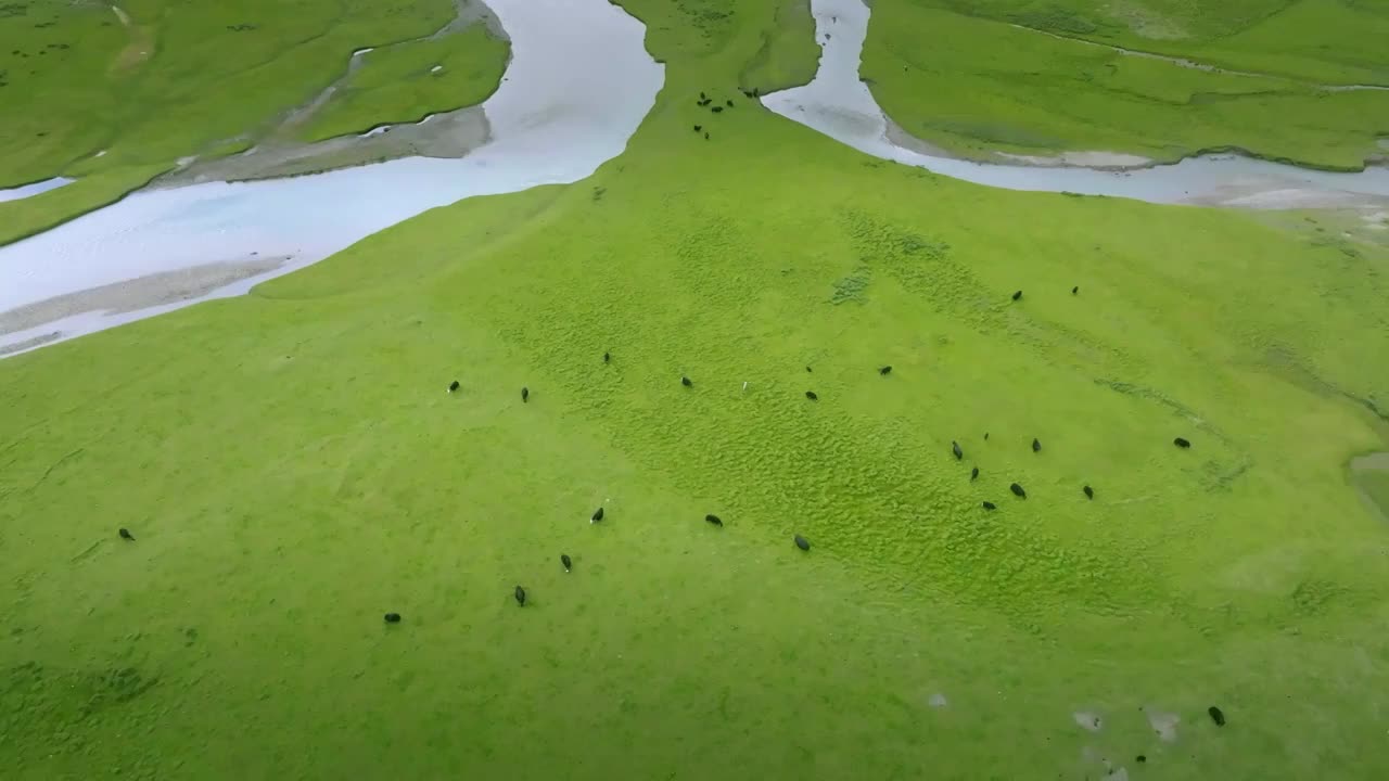 理塘无量河 大草原落日 天空之境视频素材