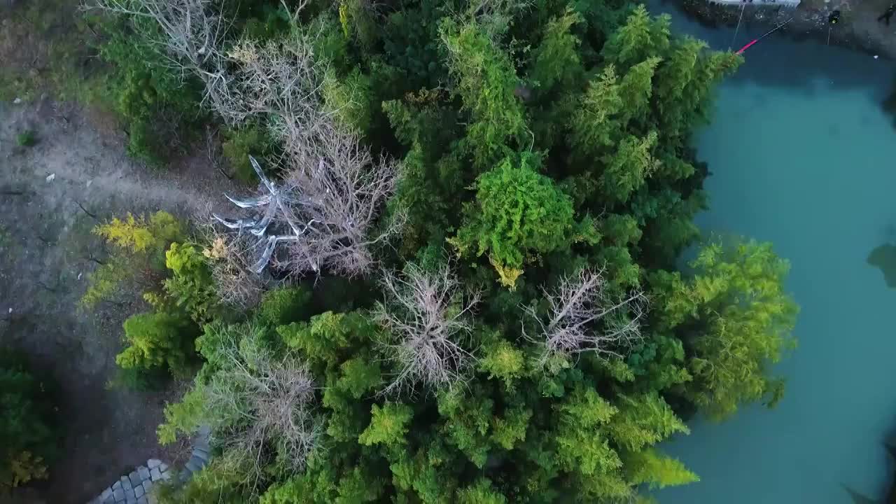 上海韩湘水博园视频素材