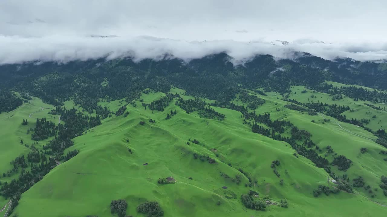 新疆那拉提草原雨后航拍视频素材