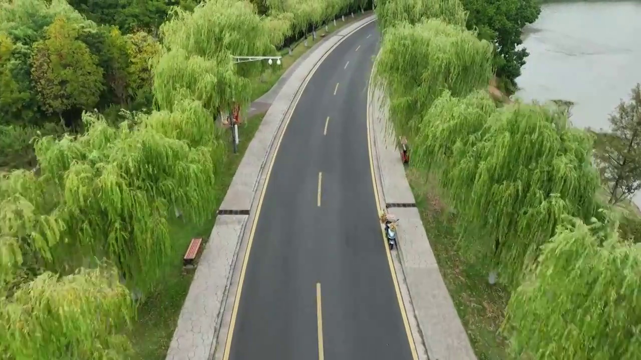 航拍夏季的钟山风景区中山陵梅花谷路视频素材