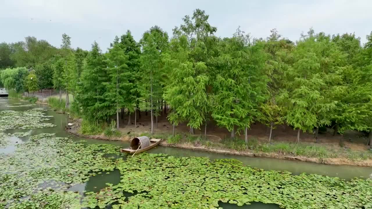 航拍夏季的中山陵燕雀湖视频素材