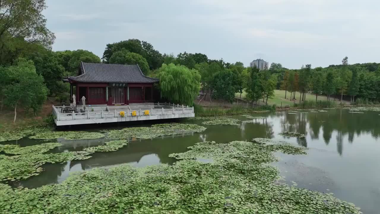 航拍夏季的中山陵燕雀湖视频素材