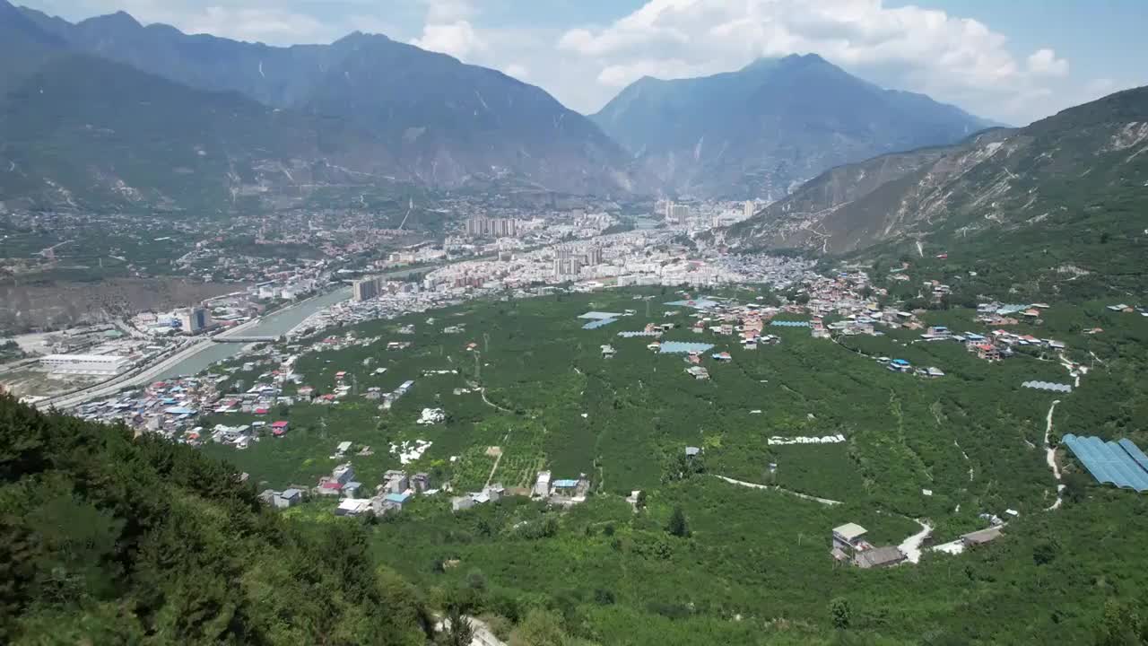 阿坝州茂县李子种植风光视频素材