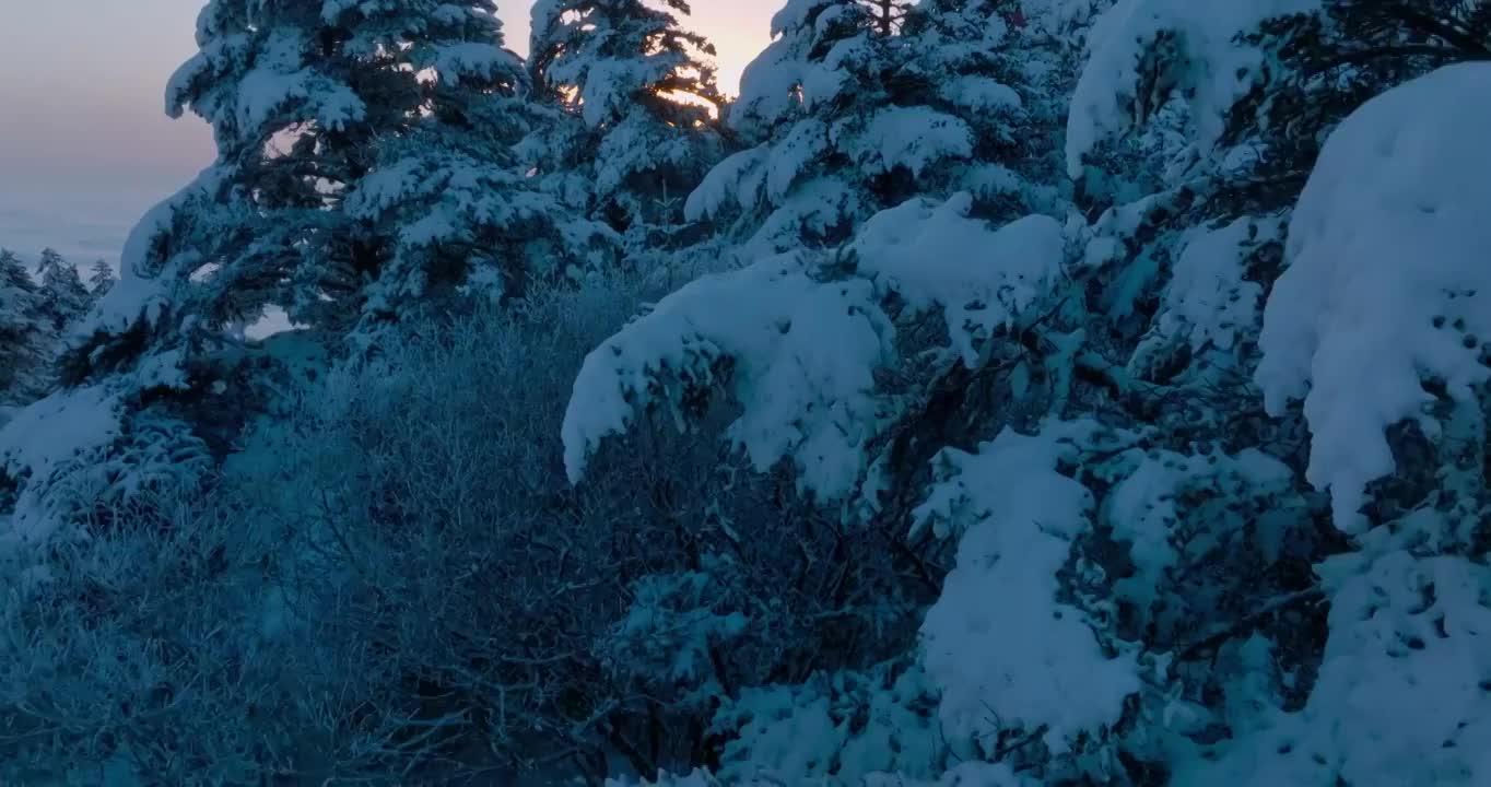 金顶日出航拍峨眉山冬季雪景视频素材