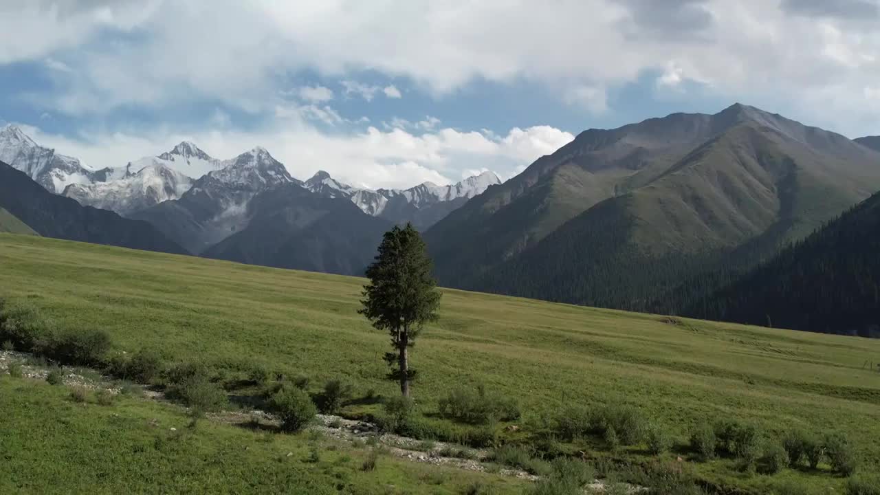 中国新疆伊犁昭苏夏塔草原雪山自然风光视频素材