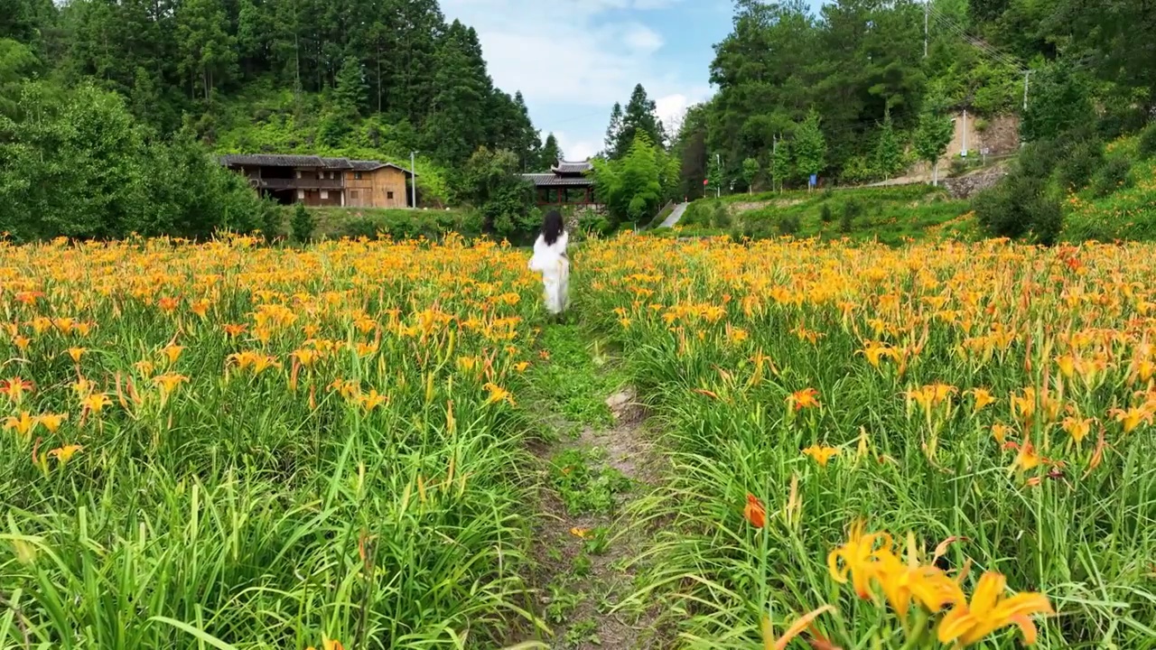 萱草花园里奔跑美少女采摘乡村振兴新农村视频素材