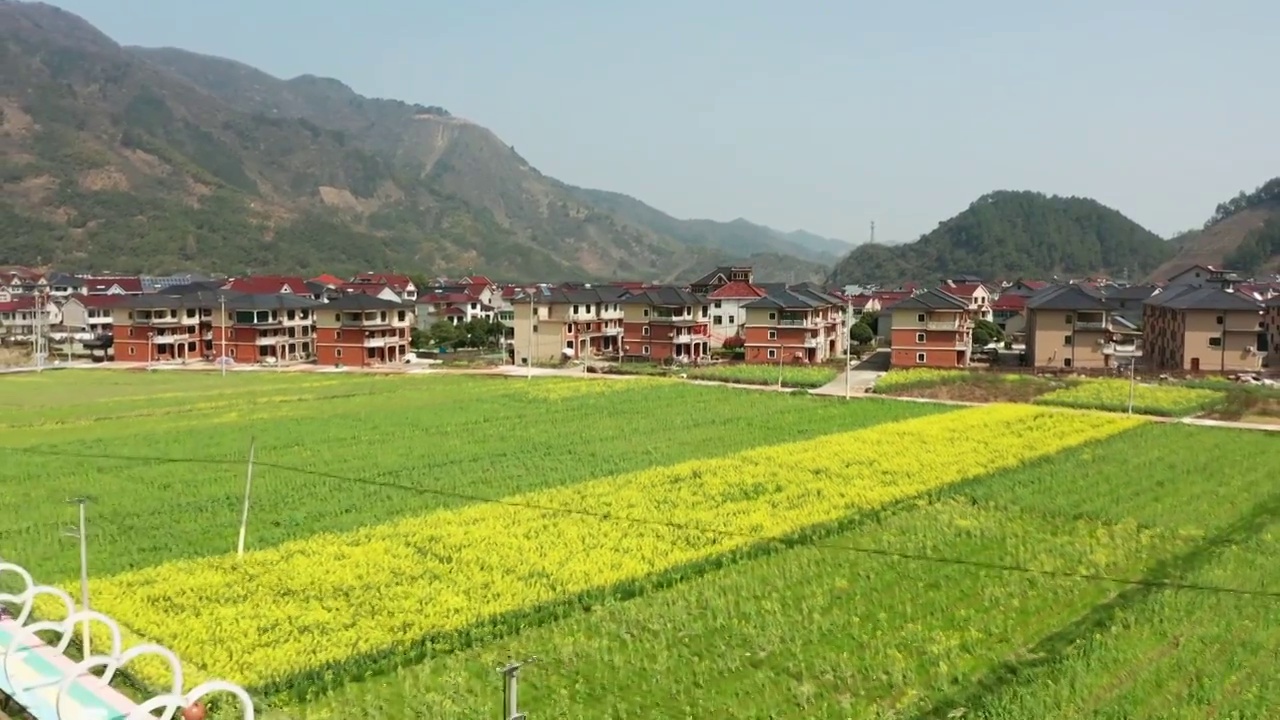 杭州桐庐合村乡春季油菜花海风光4K航拍视频素材