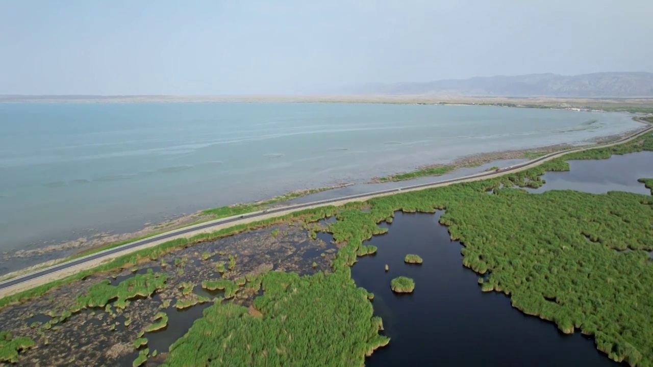 中国新疆库尔勒博斯腾湖湿地视频素材