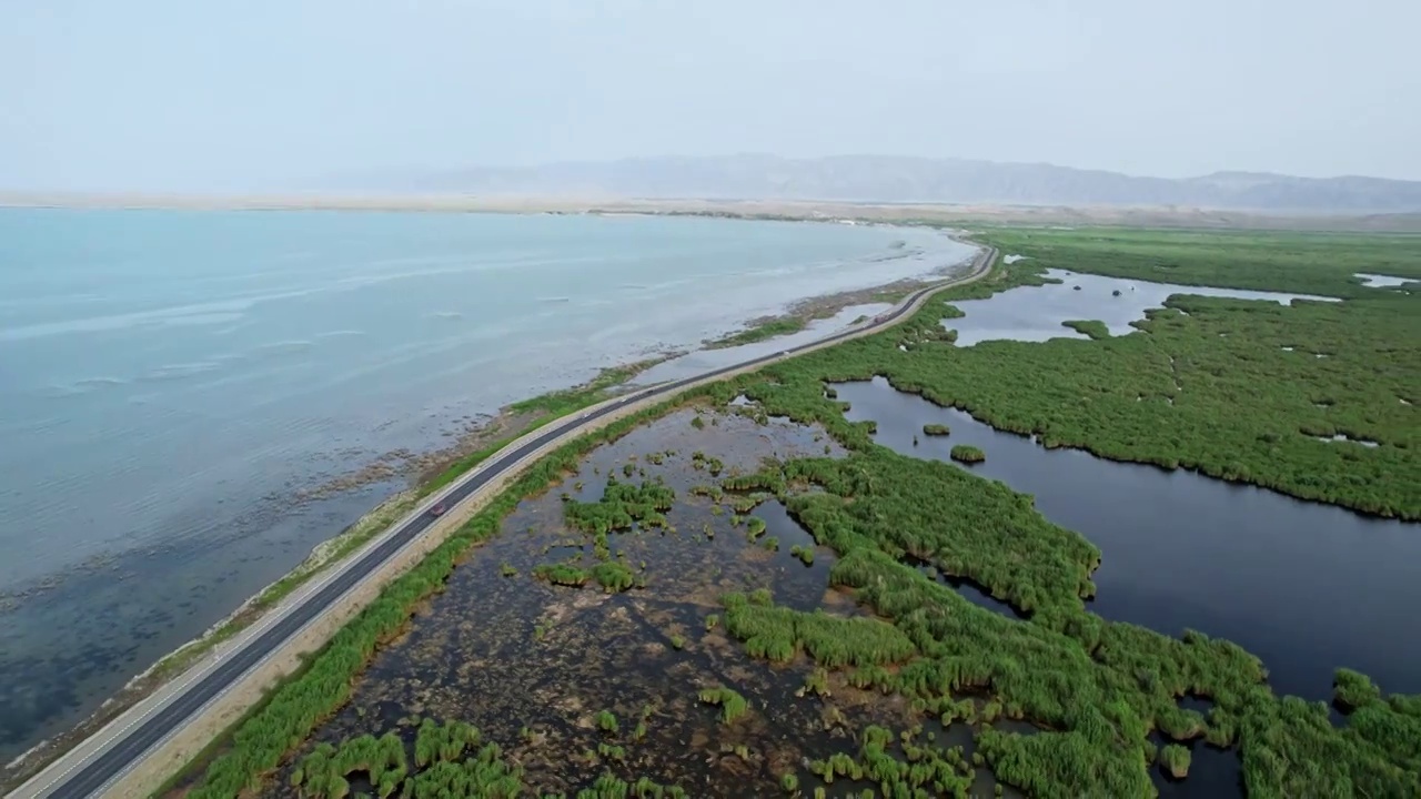 中国新疆库尔勒博斯腾湖湿地视频素材