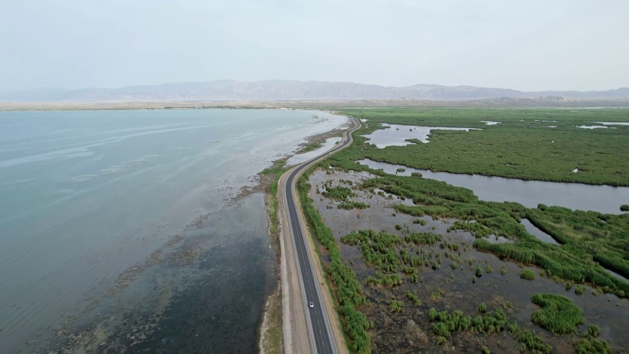 中国新疆库尔勒博斯腾湖湿地视频素材