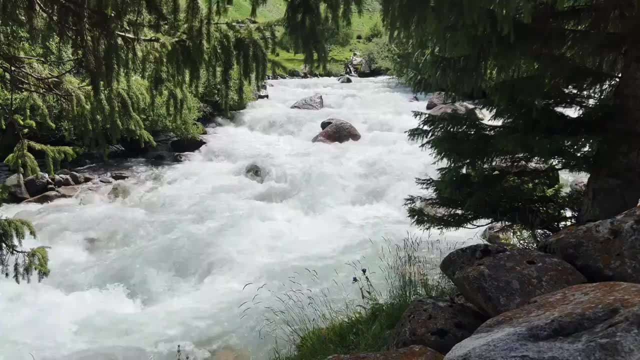 自然风光森林河流视频素材