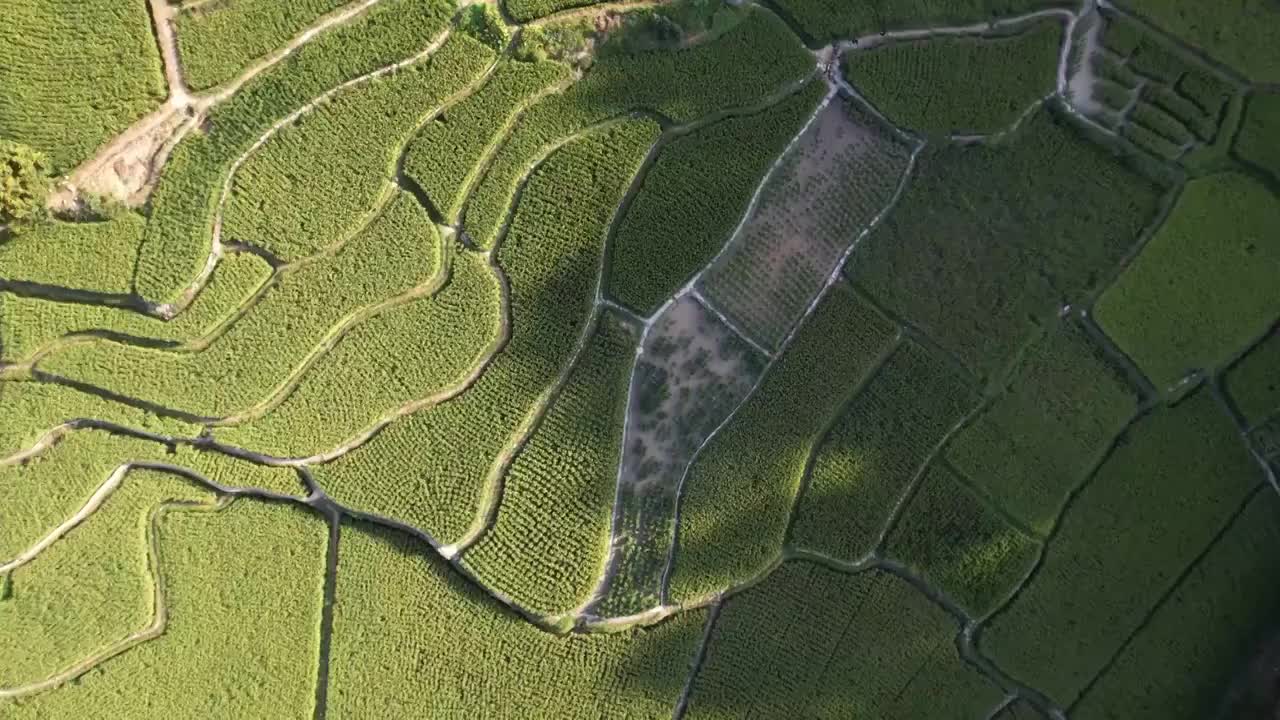 贵州从江堂安梯田视频素材