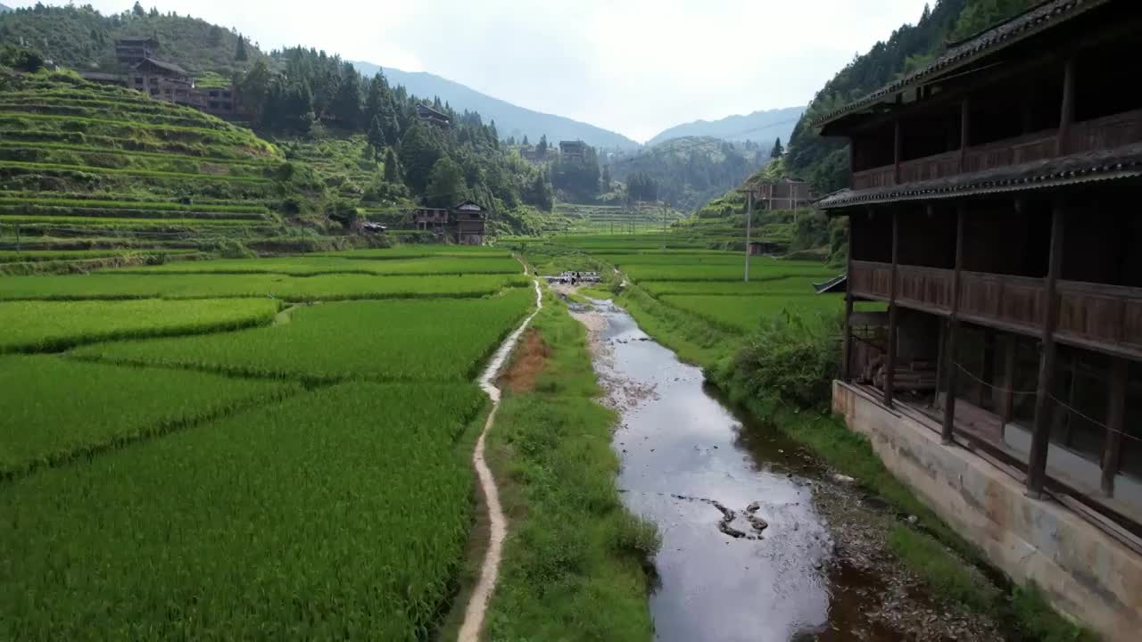 贵州从江堂安梯田视频素材