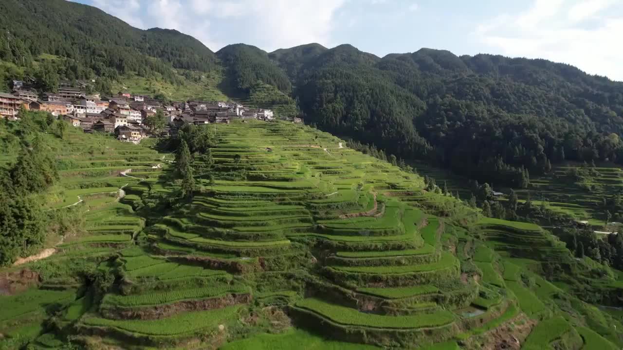 贵州从江堂安梯田视频素材